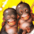 apes.gif
