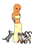cats.gif