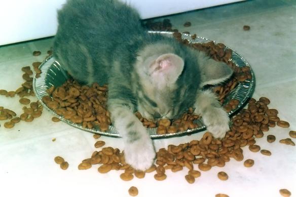 eatsleep.jpg